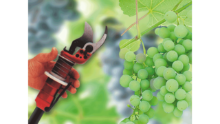 Industriële zuigercompressoren van KAESER in de wijnbouw.